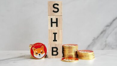 Shiba Inu (SHIB) verpasst? Memecoin (MEME) und NuggetRush (NUGX) könnten als nächstes explodieren