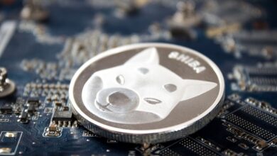 Shiba Inu und NuggetRush gewinnen dabei an Schwung Chainlink Wale laden Token ab