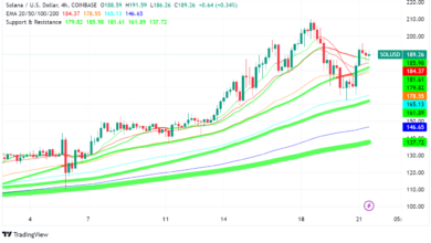 Solana Bounces Back, But Memecoin Frenzy Tests Network