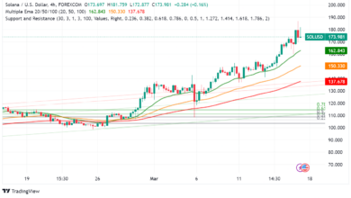 Solana Shines While Market Bleeds: BILS Boost and Binance Integration Drive SOL Price Up