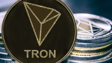 TRON Network verbessert die Zugänglichkeit durch die Integration von Token Terminal