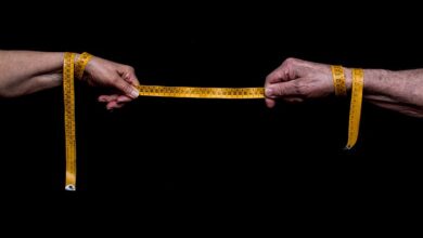 „Problemkrokodil“: Vier Meter langes Reptil gefangen