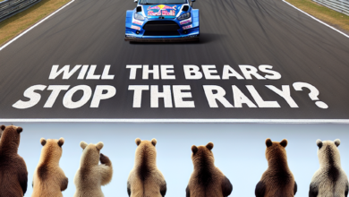 Werden die Bären die Rally stoppen?