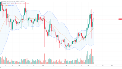 XRP price daily chart for March 8