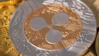 XRP Whales transferiert XRP-Münzen im Wert von 272 Millionen, während XRP an Dynamik gewinnt