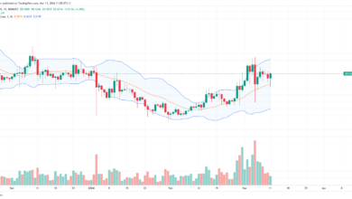 XRP price daily chart for March 11