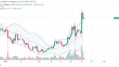 XRP daily price chart for March 13
