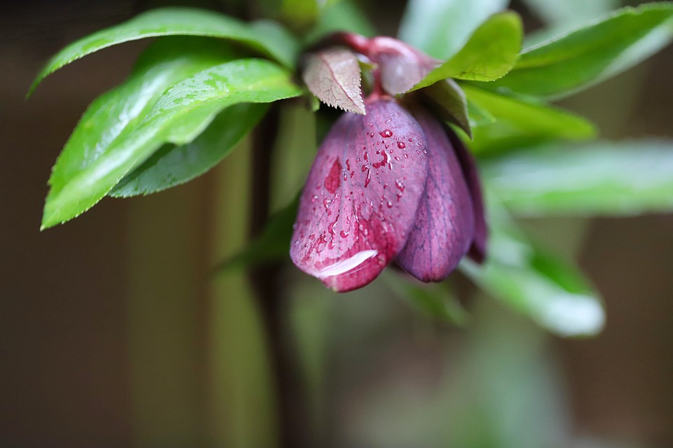 Weltbevölkerungsbericht: „Im Niger noch fast sieben Kinder im Schnitt pro Frau“