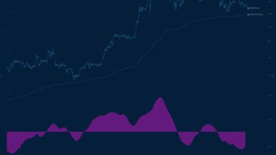 Bitcoin CVD-Daten | Quelle: Willy Woo auf X