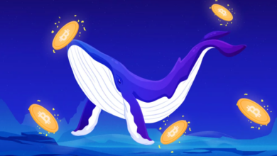 Ausblick auf den Kryptomarkt: BTC, SOL, ETH, DOGE stehen unter Abwärtsdruck