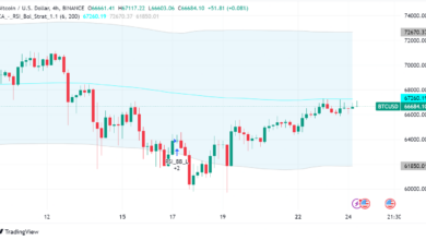Bitcoin Soars After Halving, Whales Drive the Rally
