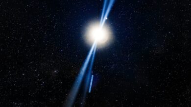 Cardano