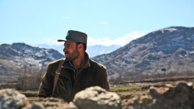 Die Nato wird 75: eigentlich kein Grund zum Feiern, und doch ist sie nötig. - Meinung