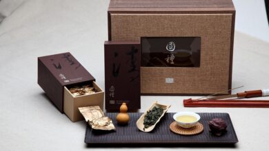 Ex-BVT-Agent Ott muss in U-Haft, Nationaler Sicherheitsrat tagt am 9. April - Österreich