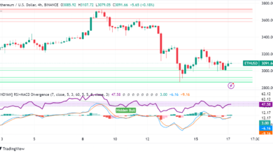 Hong Kong Approves Spot Ethereum ETFs, But Will They Lure Investors?