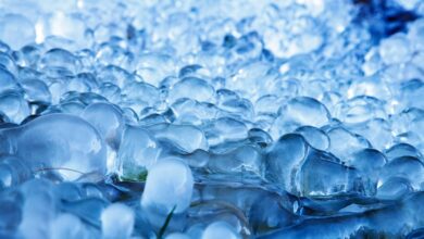 Kein Eis und keine Pizza nach Mitternacht