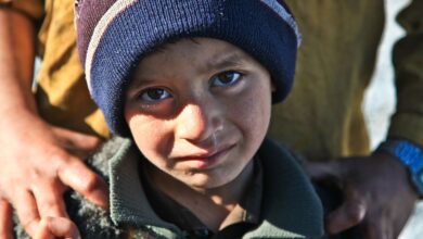 Krieg | Schwarzmeerflotte: Kämpfer veröffentlichen Geheimdokumente