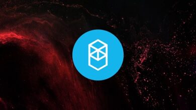 ORDI-, Fantom- und Aave-Preise führen zu Verlusten, da BitBot der Schwerkraft trotzt