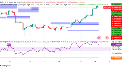 Pepe Token Gains 17% on Whale Activity and Exchange Listing