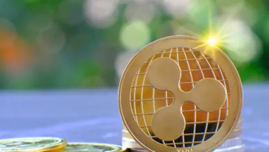 Ripple CTO trotzig: Wird XRP seinen 15-fachen Anstieg ausweiten und die 0,66-Dollar-Marke durchbrechen?