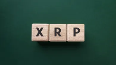 Ripple Der Kampf zwischen SEC und SEC verschärft sich – XRP-Wale bewegten 70 Millionen XRP RippleEntscheidung, Einspruch einzureichen
