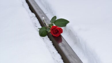 Ryanair-Passagier fühlt sich unwohl – und stirbt kurz nach Start