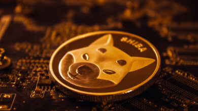 Shiba Inu (SHIB) unveils ambitious Shibarium plans