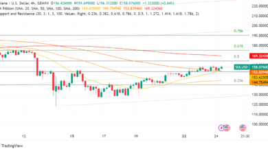 Solana (SOL) Faces Mixed Signals: Auction, Adoption, and Network Issues