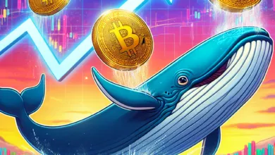 Wale steigern Meme-Coins um über 50 %