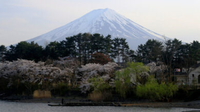 „Widerspenstige“ Touristen führen Stadt dazu, den Blick auf den Fuji zu versperren