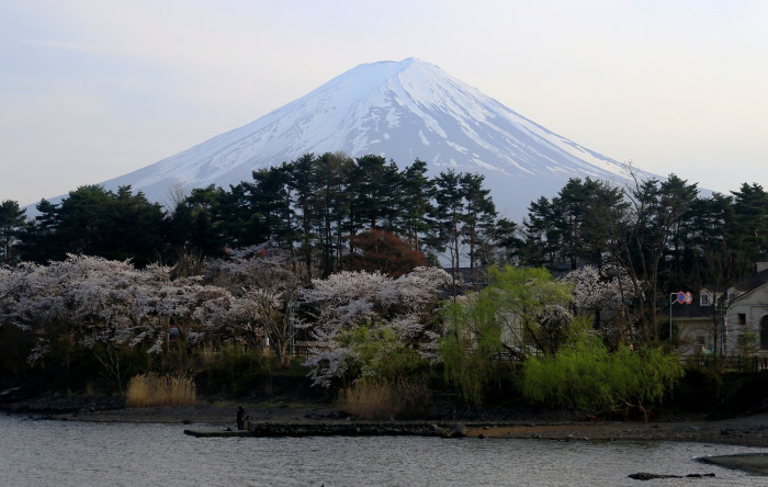 „Widerspenstige“ Touristen führen Stadt dazu, den Blick auf den Fuji zu versperren