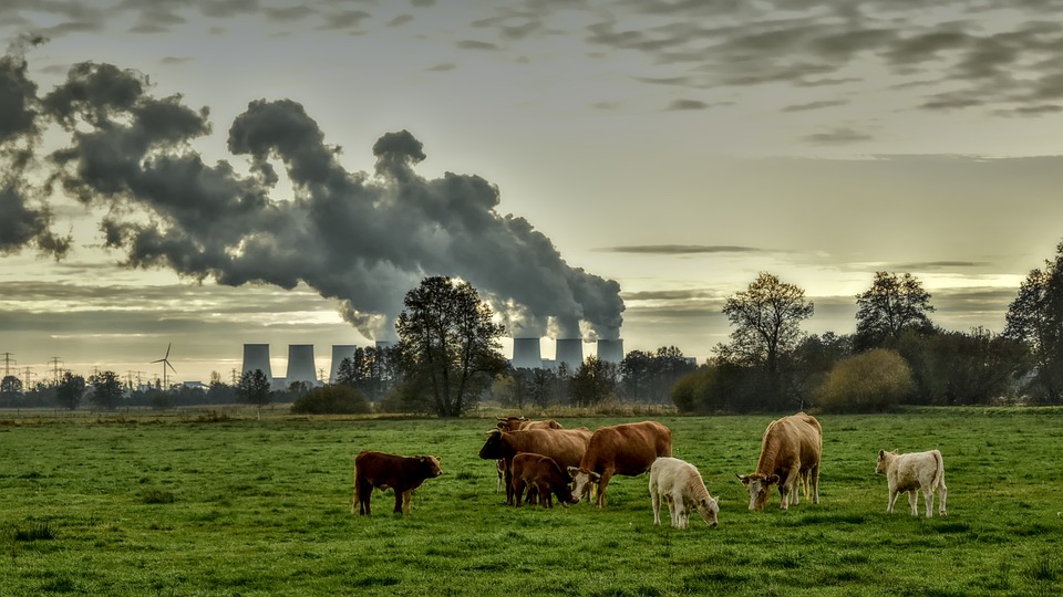 Baerbock auf Fidschi-Inseln: Mehr Klimaschutz für Ozeanien