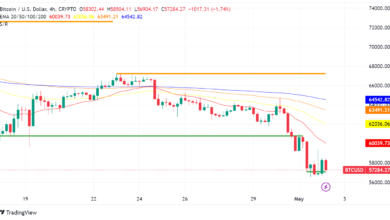 Bitcoin Price Crash: Bloodbath or Buying Opportunity?