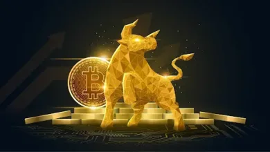 Bitcoin (btc) kangamoon (KANG)
