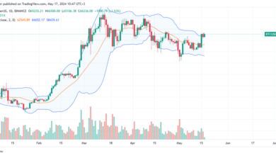 Bitcoin daily chart for May 17