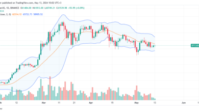 Bitcoin daily chart for May 13