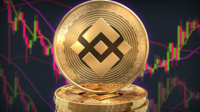 Bear pressure cast a shadow on BNB price recovery