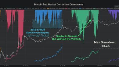 Rückgänge auf dem Bitcoin-Bullenmarkt
