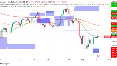 Ethereum: A Tale of Two Trends - New Users and Whale Influence