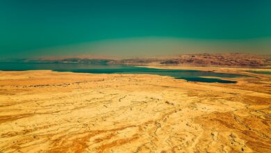 Israel: US-Regierung wirft Hamas Abfangen von Gaza-Hilfslieferung vor