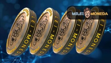 Magic Eden NFT Marketplace verzeichnet ein Handelsvolumen von 486 Millionen US-Dollar; Die Anleger von Milei Moneda ($MEDA) sind weiterhin von Gewinnen überzeugt