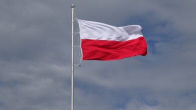 „Weg mit dem Green Deal“: Polnische Bauern machen mobil