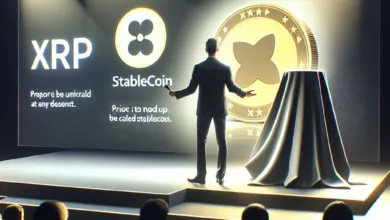 RippleBrad Garlinghouse spricht über XRP vor der Einführung von Stablecoin