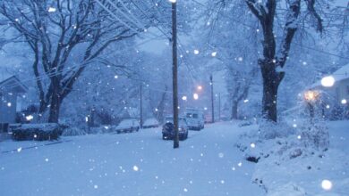 Solana-Schneefall? Preissturz inmitten der Marktkorrektur – wird es noch schlimmer?