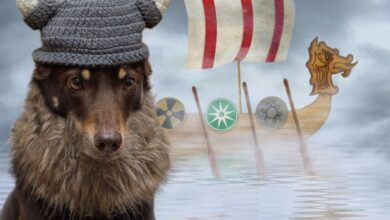 Floki Inu