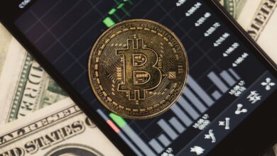 Tim Draper leitet 3,5 Millionen US-Dollar für das Bitcoin-Liquiditätsprotokoll Zest
