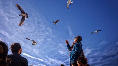 Wenn die Urlaubermassen bereits im Mai die Einheimischen nerven
