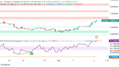 Will the Increased Interest in AI Sector Boost Worldcoin (WLD)?