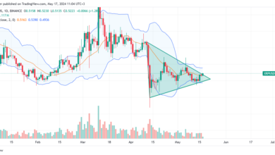 XRP daily chart for May 17