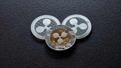 XRP-Revival? Ripple Bären ablehnen, während sich Wale häufen